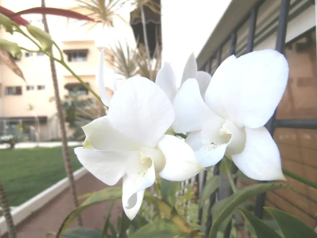 Apartamento Atalaya Apartment Santo Domingo Dominican Republic